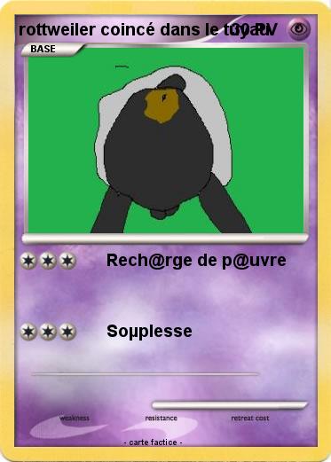 Pokemon rottweiler coincé dans le tuyau