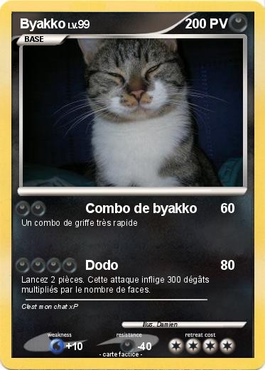 Pokemon Byakko