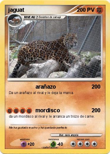 Pokemon jaguat