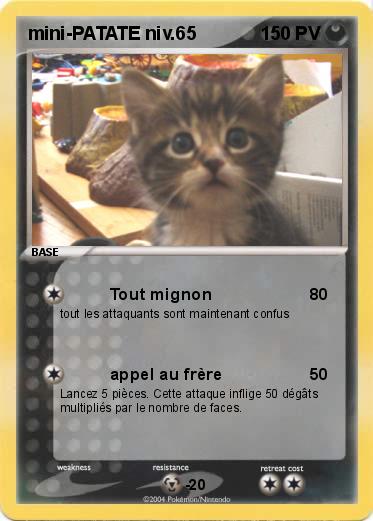 Pokemon mini-PATATE niv.65