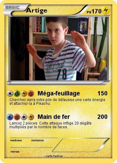 Pokemon Artige
