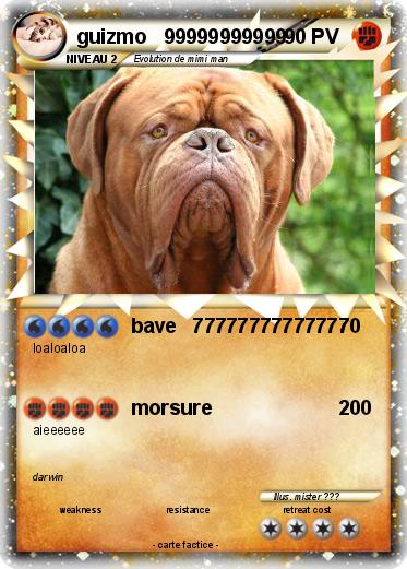 Pokemon guizmo   99999999999