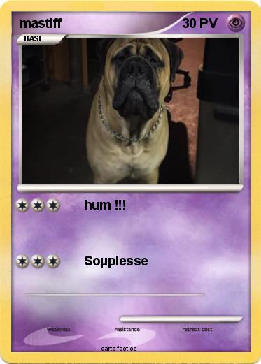 Pokemon mastiff