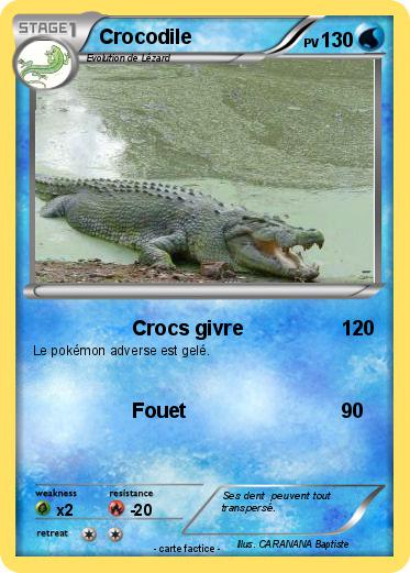 Pokemon Crocodile