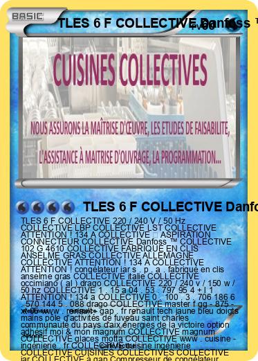 Pokemon TLES 6 F COLLECTIVE Danfoss ™