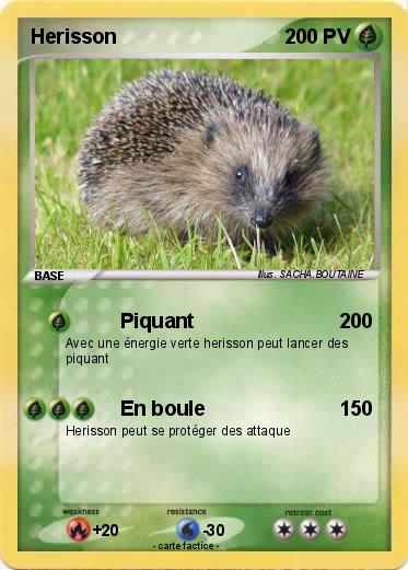 Pokemon Herisson