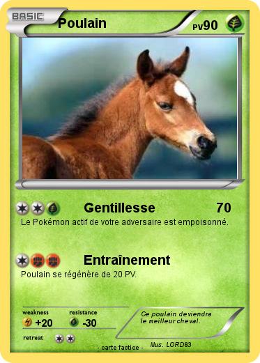 Pokemon Poulain