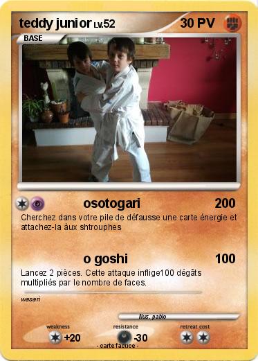 Pokemon teddy junior