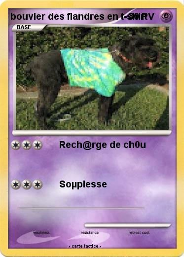 Pokemon bouvier des flandres en t-shirt