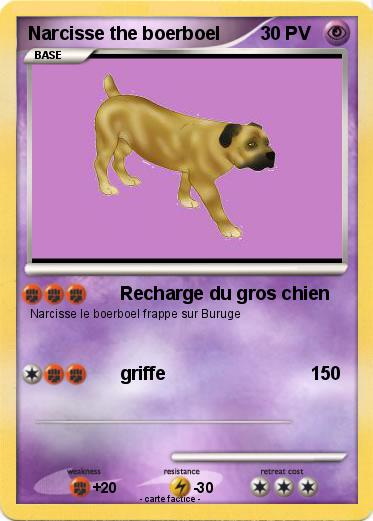 Pokemon Narcisse the boerboel