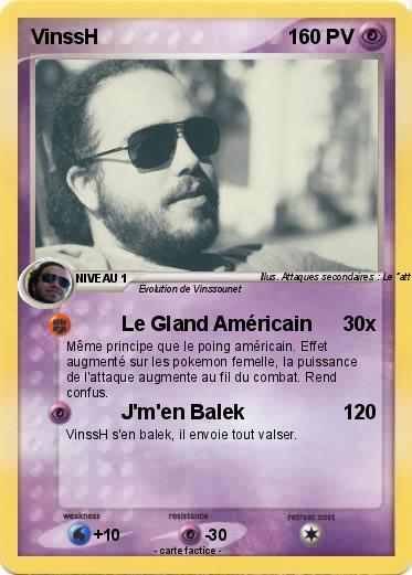 Pokemon VinssH