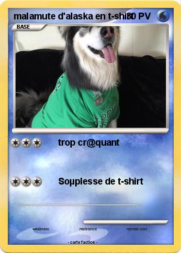 Pokemon malamute d'alaska en t-shirt