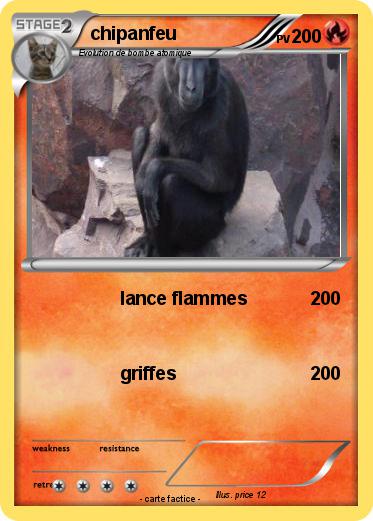Pokemon chipanfeu