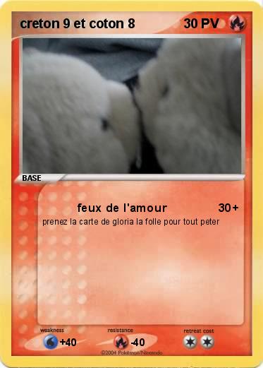 Pokemon creton 9 et coton 8