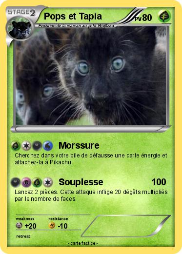Pokemon Pops et Tapia