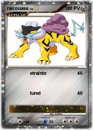 Pokemon raicouasa