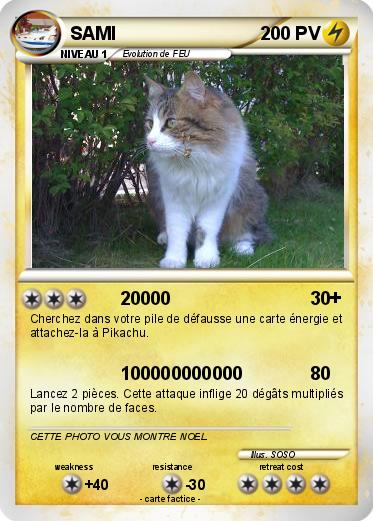 Pokemon SAMI