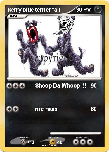 Pokemon kérry blue terrier fail
