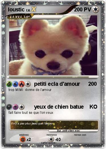 Pokemon loustic