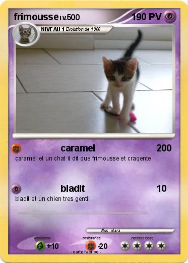 Pokemon frimousse