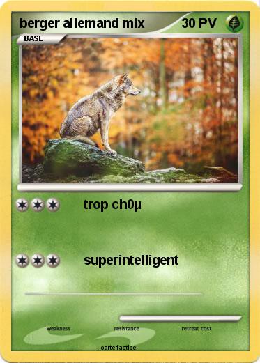 Pokemon berger allemand mix