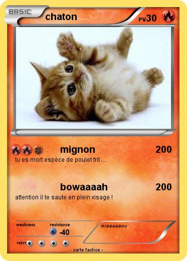 Pokemon chaton