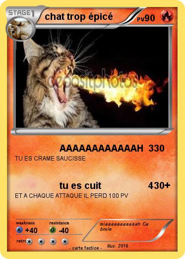 Pokemon chat trop épicé