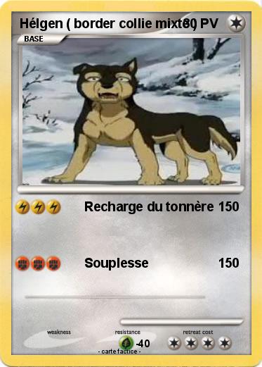 Pokemon Hélgen ( border collie mixte )