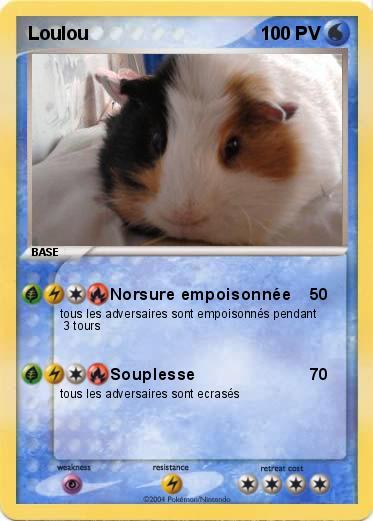 Pokemon Loulou 