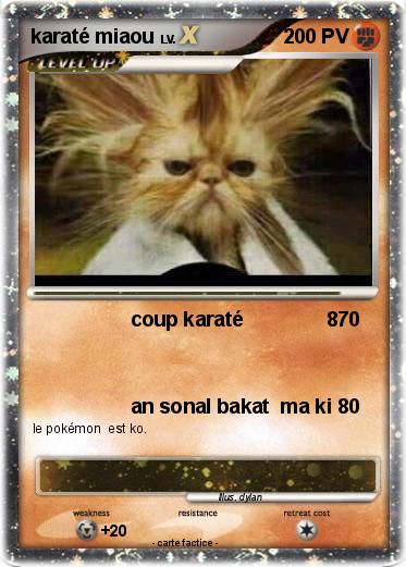 Pokemon karaté miaou