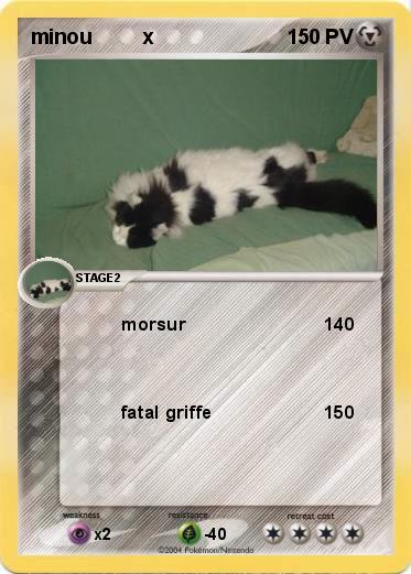 Pokemon minou         x