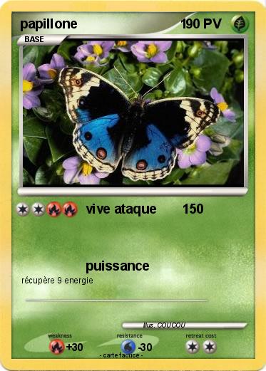Pokemon papillone                            1