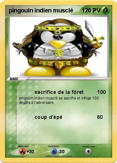Pokemon pingouin indien musclé
