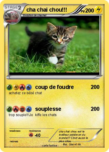 Pokemon cha chai chou!!!