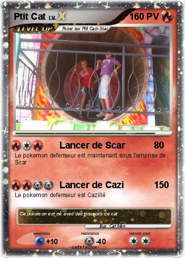 Pokemon Ptit Cat