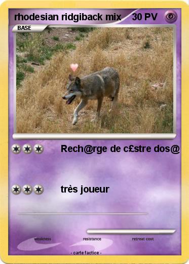 Pokemon rhodesian ridgiback mix