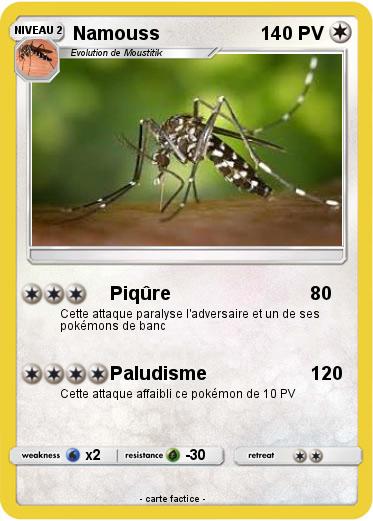 Pokemon Namouss