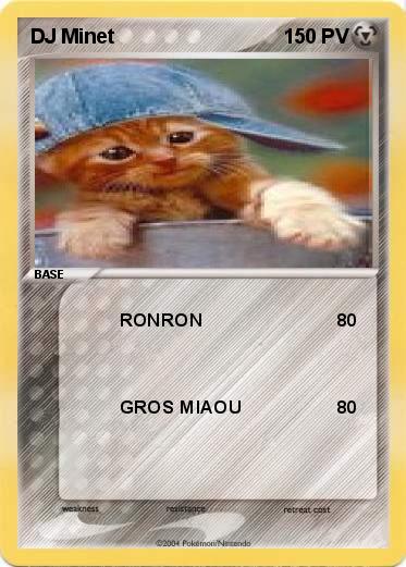 Pokemon DJ Minet