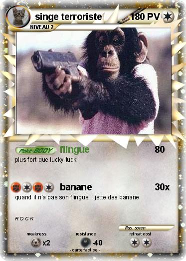 Pokemon singe terroriste