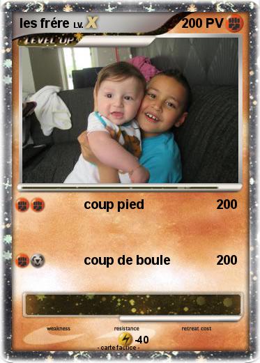 Pokemon les frére