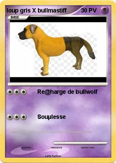 Pokemon loup gris X bullmastiff