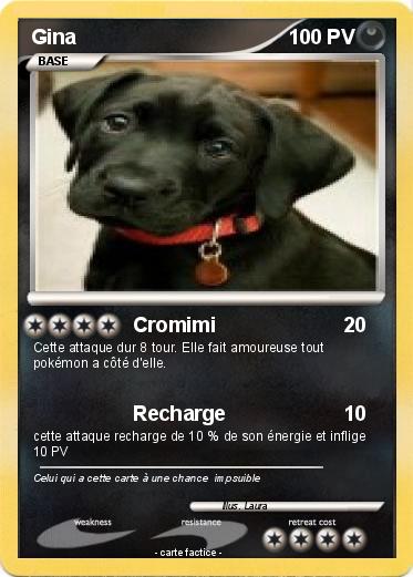 Pokemon Gina
