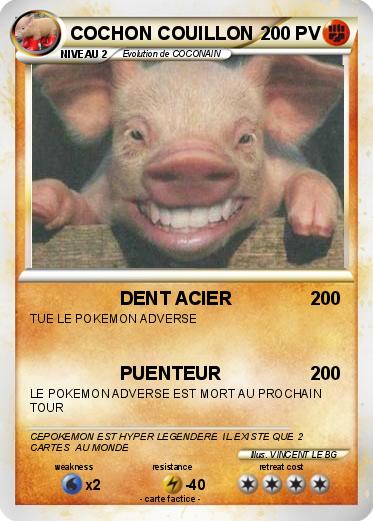 Pokemon COCHON COUILLON