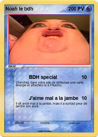 Pokemon Noah le bdh