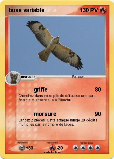 Pokemon buse variable