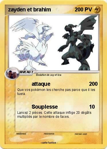 Pokemon zayden et brahim