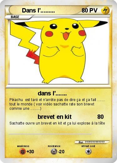 Pokemon Dans l'.........