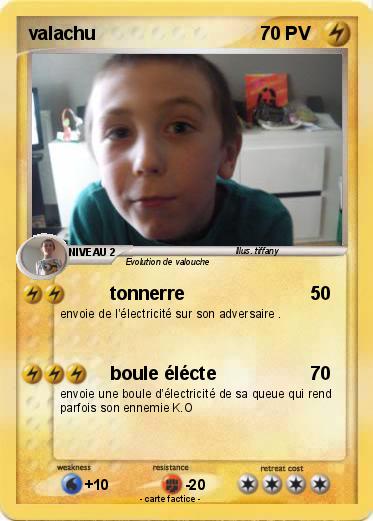 Pokemon valachu