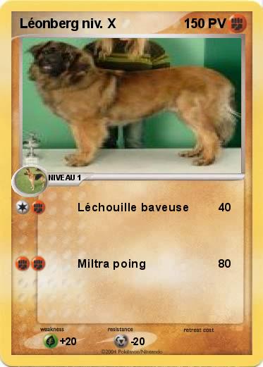 Pokemon Léonberg niv. X