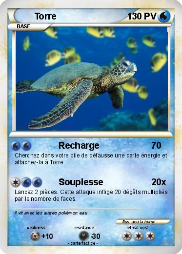 Pokemon Torre